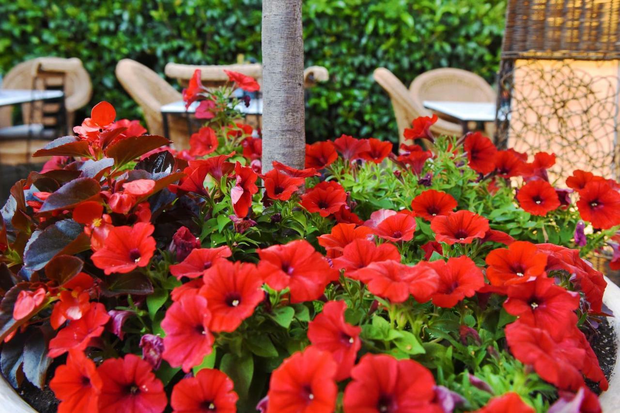 ספצס Armata Boutique Hotel מראה חיצוני תמונה